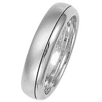 Item # 211311PP - Platinum Wedding Band
